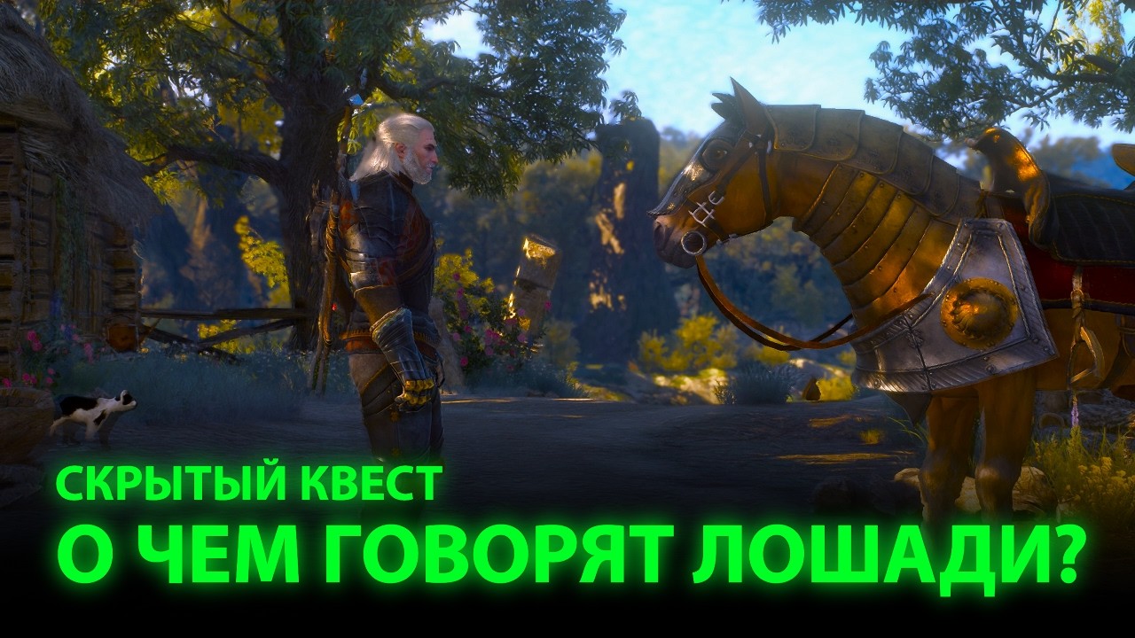 Как найти квест с говорящей Плотвой? / ВЕДЬМАК 3 / скрытый квест О ЧЕМ ГОВОРЯТ ЛОШАДИ