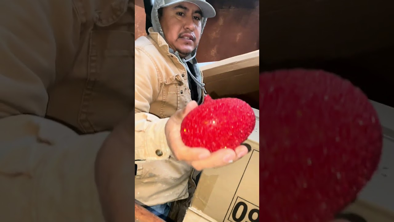 Increíble la sorpresa que nos llevamos en este contenedor cosas muy caras rescatamos 😱🤑