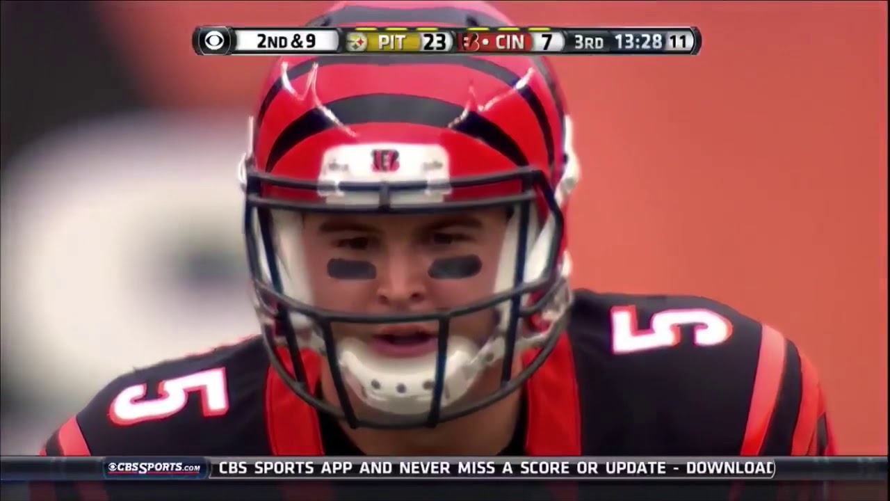 Steelers @Bengals Week 14 2015 Highlights
