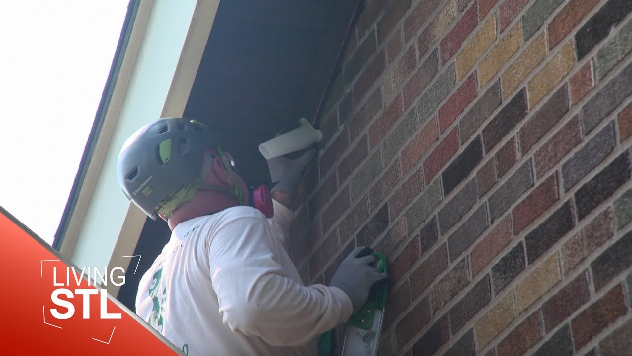 Humane Wildlife Removal and Care | Living St. Louis