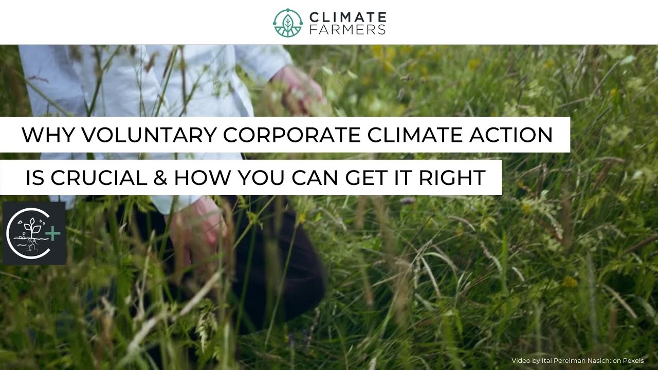 Why Voluntary Corporate Climate Action Is Crucial & How You Can It Right