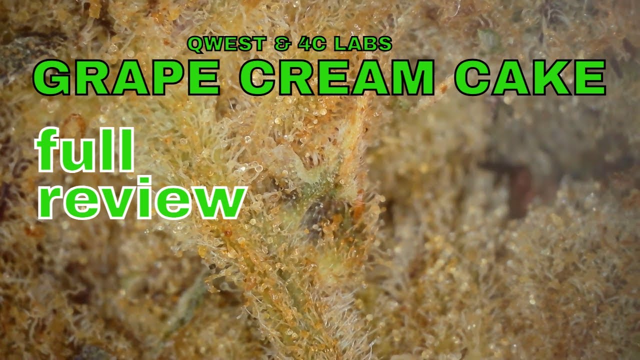 GRAPE CREAM CAKE | Qwest & 4C Labs | FULL REVIEW
