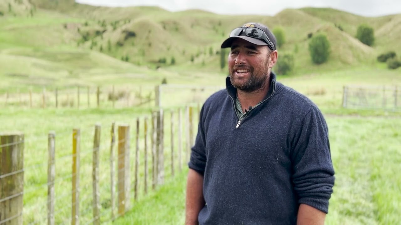 Beef + Lamb New Zealand's research, development and extension