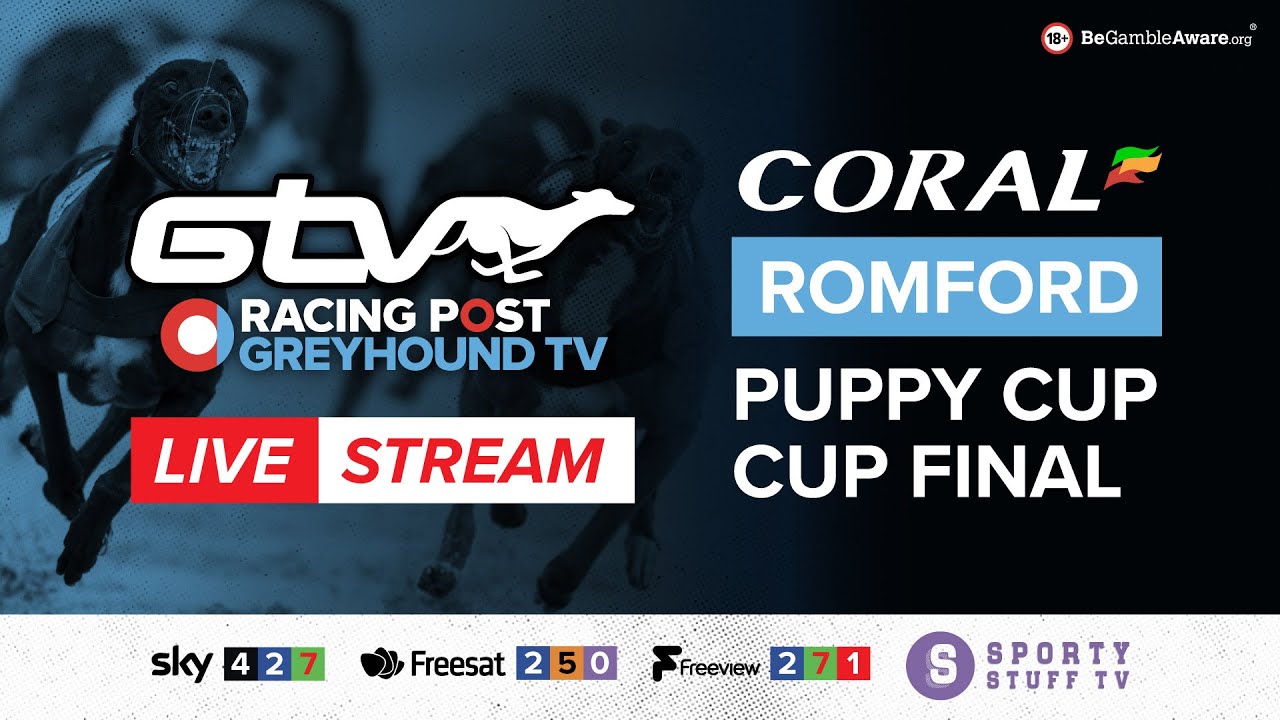 Coral Romford Puppy Cup Final | Live Greyhound Racing