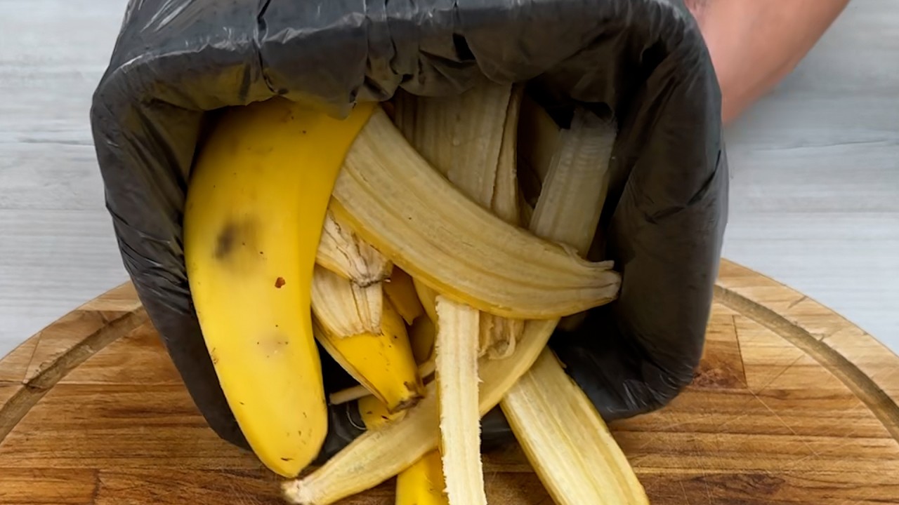 Nunca mais jogue cascas de banana no lixo! Um truque genial que todos deveriam saber