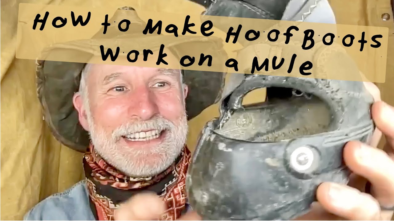 How to Make Hoof Boots Work on a Mule