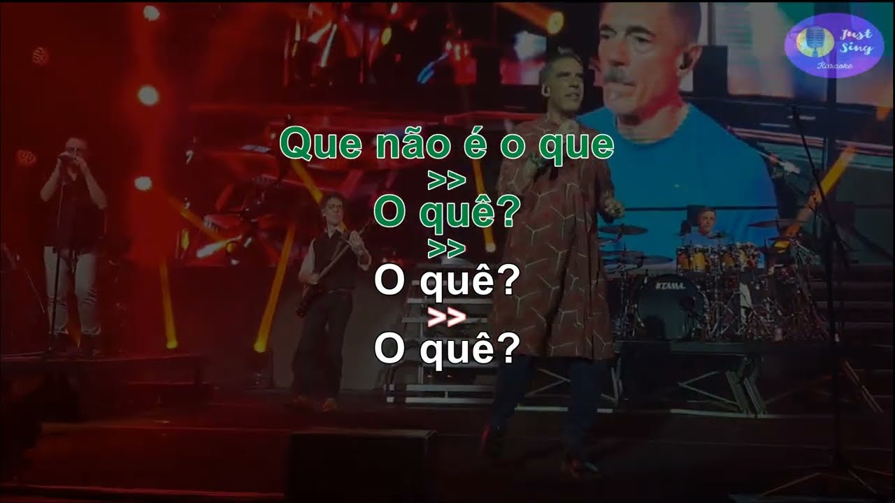 Titãs -  O que  (Karaoke alta qualidade)