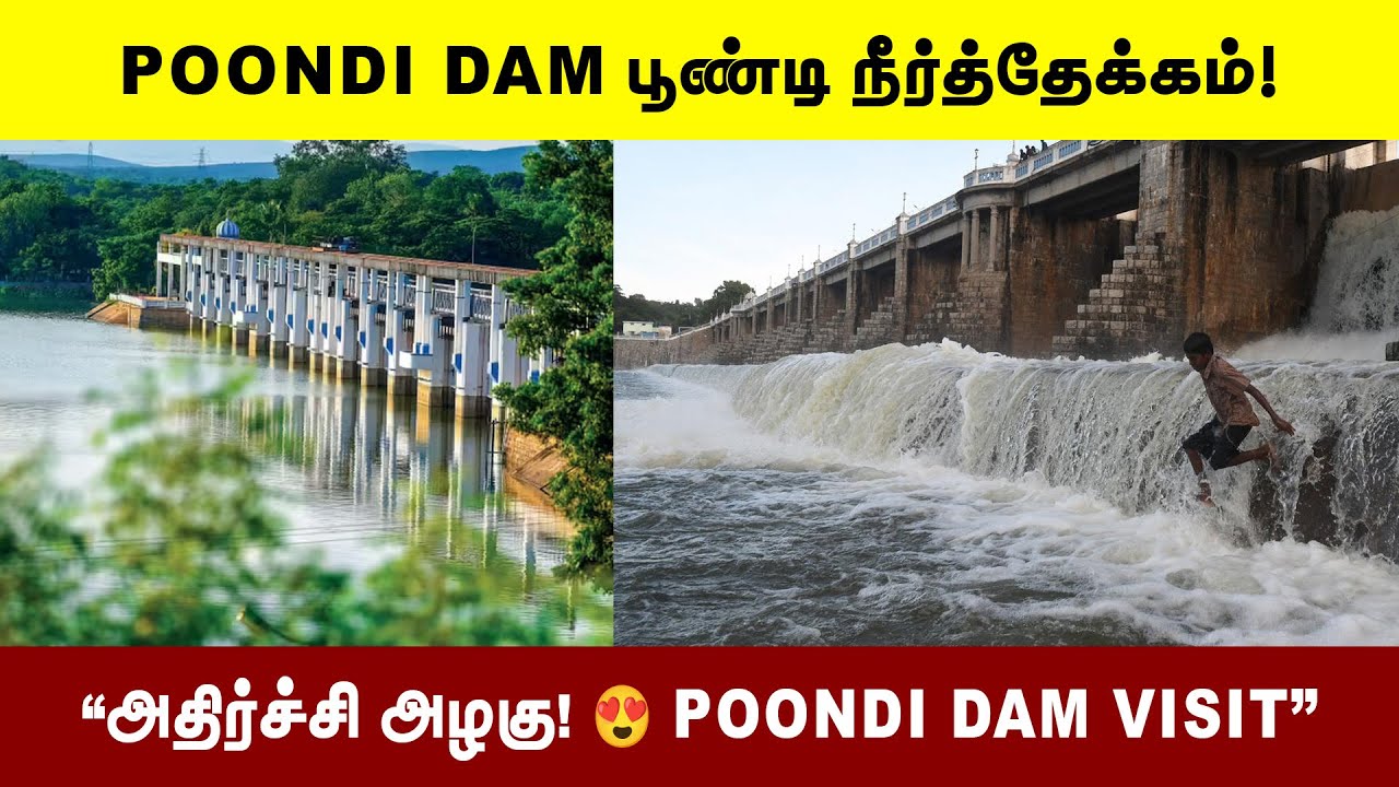 Poondi Dam 🔥 | Nature Full Azhagu | Poondi Lake | Poondi Dam Tour | இப்படி ஒரு இடமா #boattv
