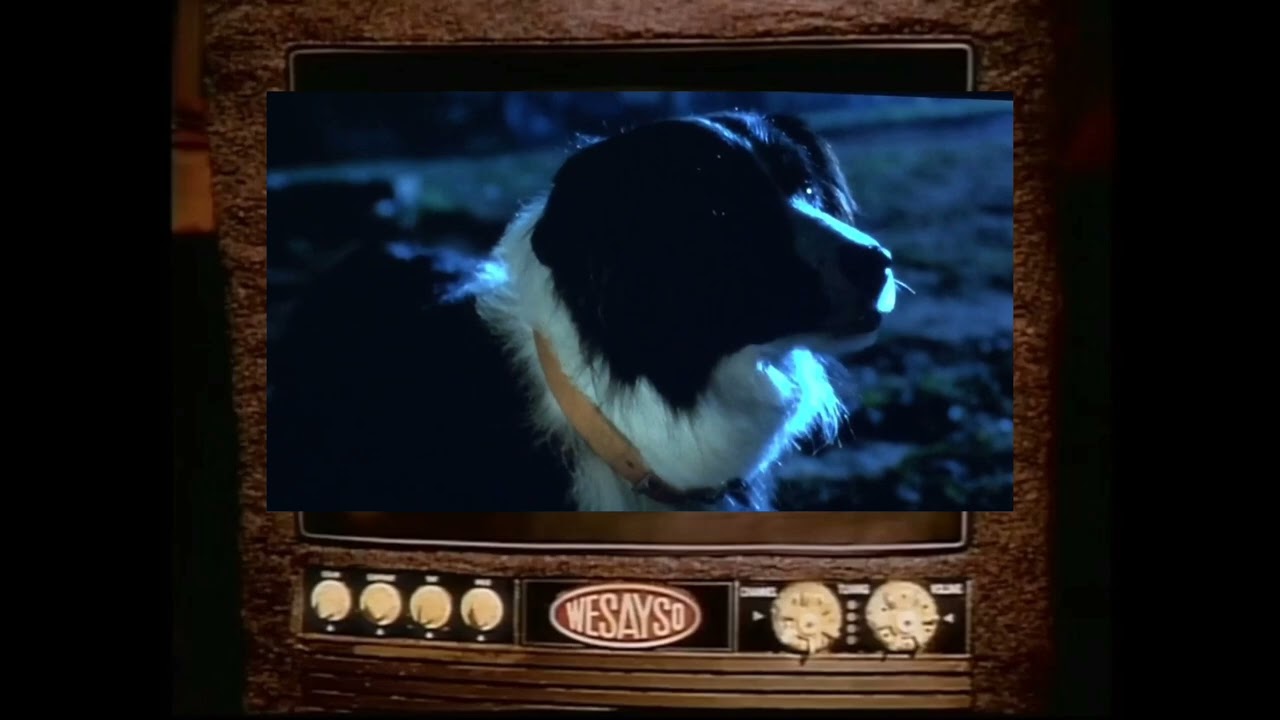 Earl Sinclair Hates Violent Animal Fighting From Children's Movies