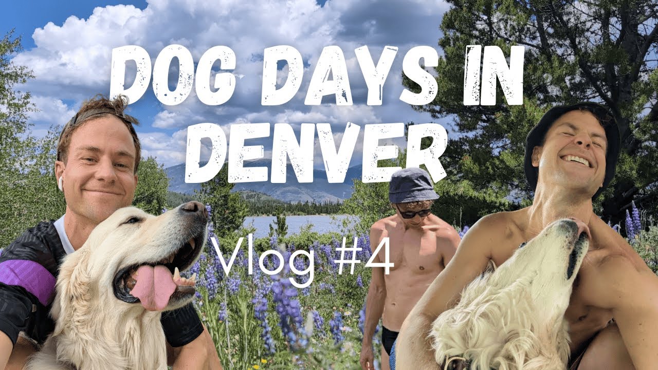 Dog Sitting in Denver: Old Friends, Auditions & Skinny Dips | Vlog #4