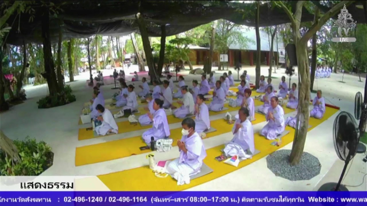 Live สด ปฏิบัติธรรม ฟังธรรม ทุกวันเสาร์