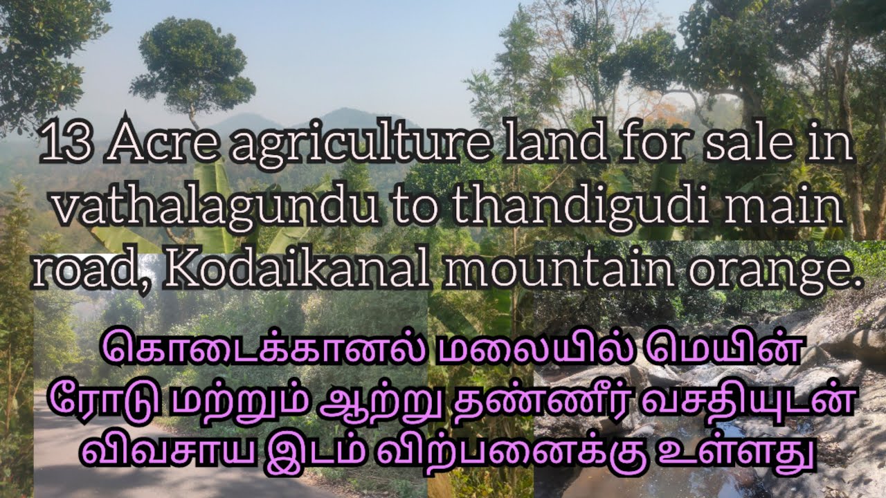 13 Acre agriculture land for sale in kodaikanal mountain range @kodaihillsrealestate7317