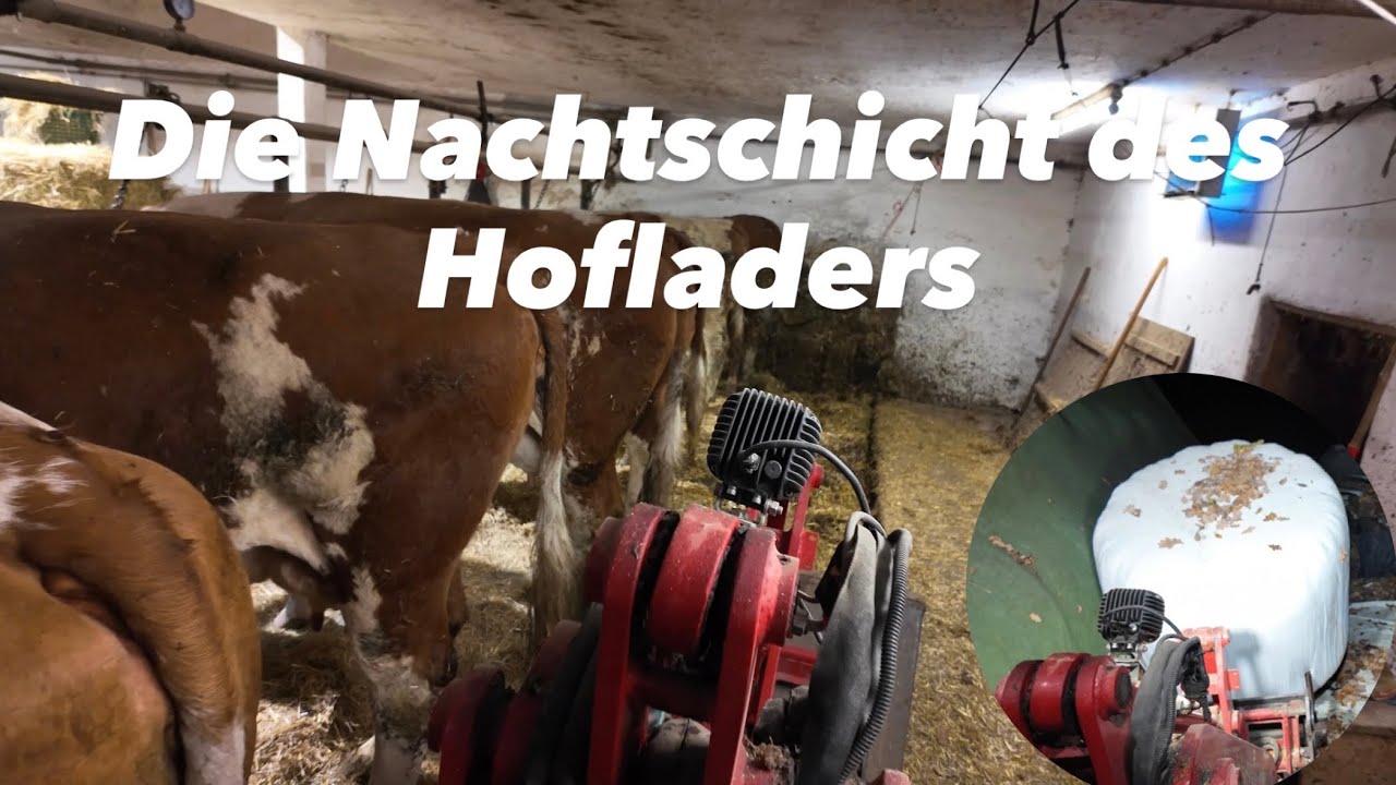 Sch&auml;ffer geht nicht mehr an | Misten | Siloballen holen | Heuballen holen 