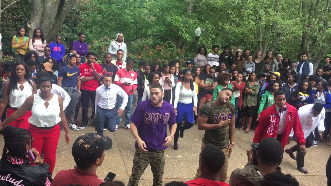 Vanderbilt NPHC Homecoming Unity Step 2016