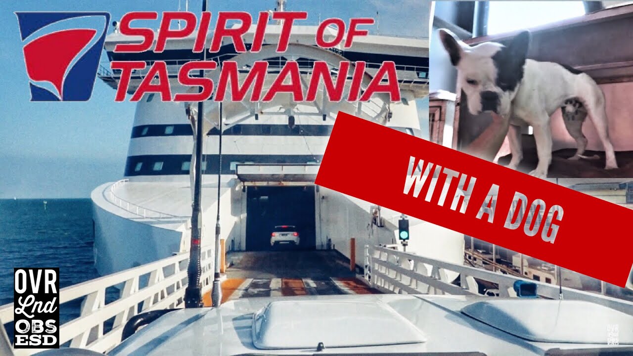 Our trip on The Spirit Of Tasmania WITH our Dog