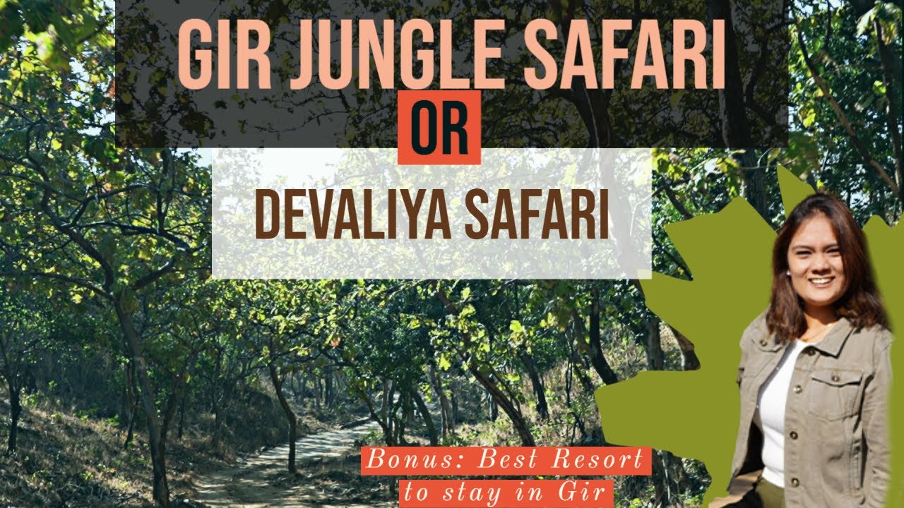 GIR National Park & Devaliya Safari Travel Vlog | Mahabat Maqbara Palace | Gujarat Tourism 2022