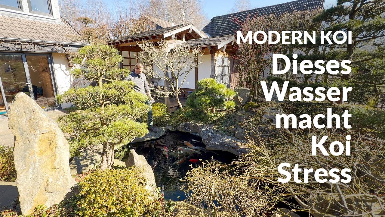 Martins Wasseranalyse: Das Ergebnis ist nicht gut | Modern Koi Blog #7323