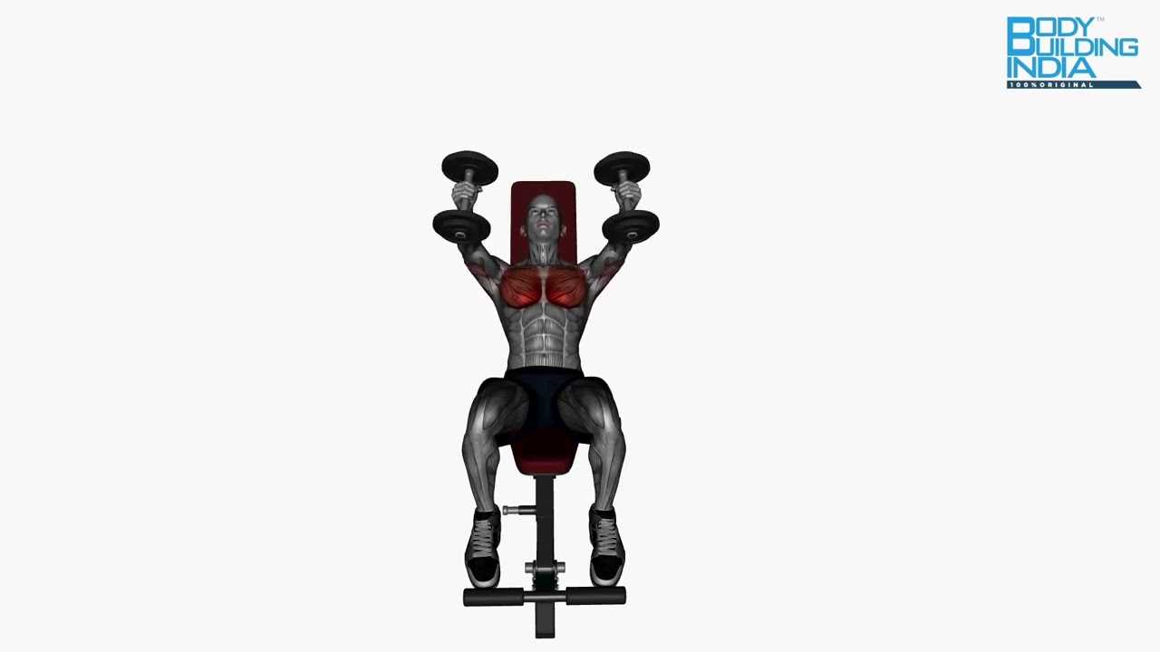 Deltoids Workout | Exercise 29 | Dumbbell Fly Incline Bench | Bodybuilding India