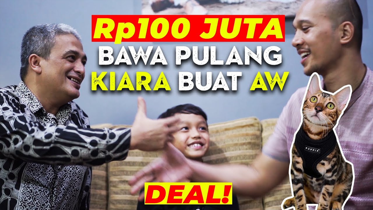 BIMA ARYO PUSING! KUCING BENGAL NYA DIBELI Rp100jt+