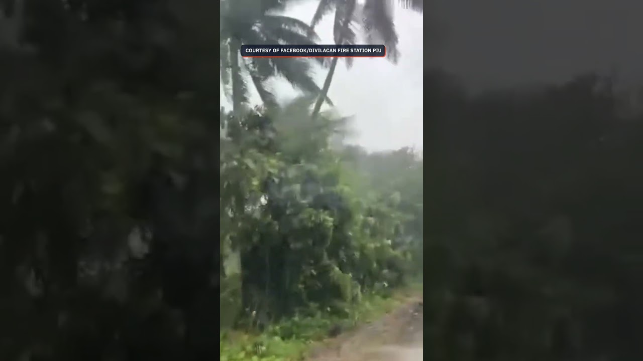 Strong winds and rain in Barangay Dimapula in Divilacan, Isabela