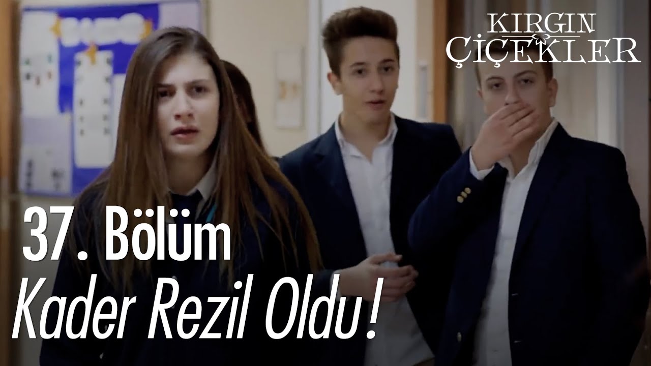 Okulun tuvaletinde çamaşır yıkadı! - Kırgın Çiçekler 37. Bölüm