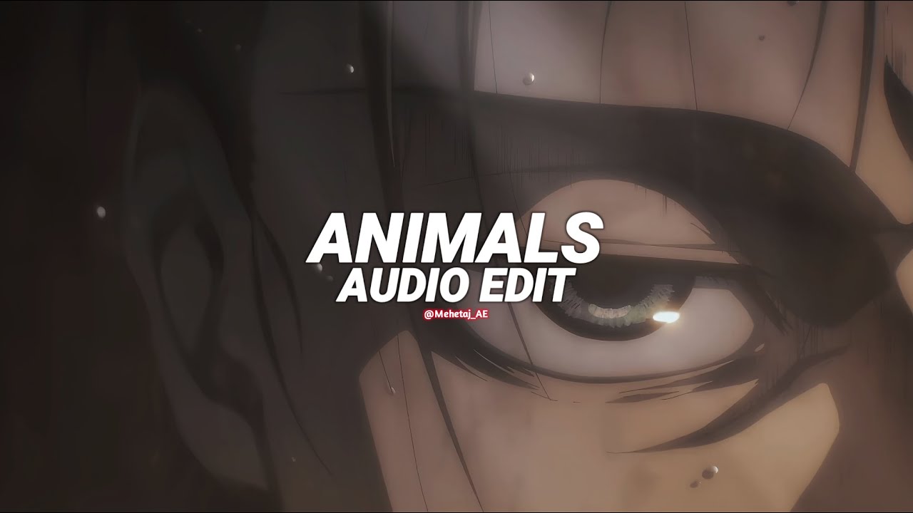 Animals (tiktok version/best part) - maroon 5 [edit audio]