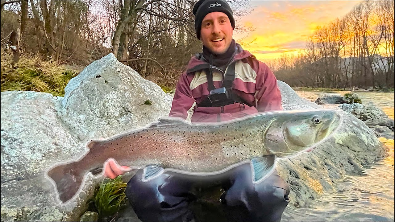 CATTURA DELLA VITA! Il Pesce dai MILLE LANCI! Pesca al Salmone Danubiano nei Fiumi Sloveni BIG HUCHO