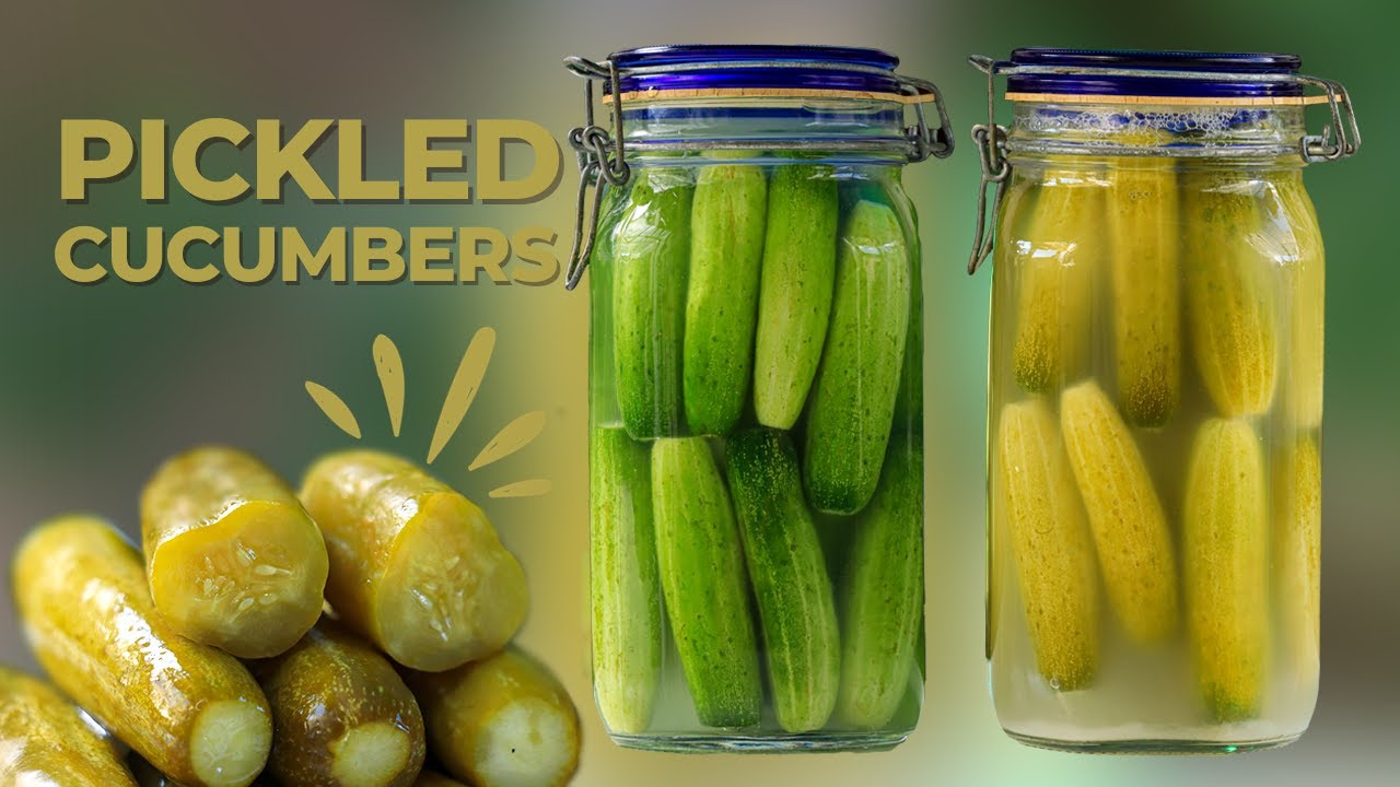 [English SUB] Fast Pickled Cucumber Recipe | A Quick And Easy Recipe For Pickled Cucumbers