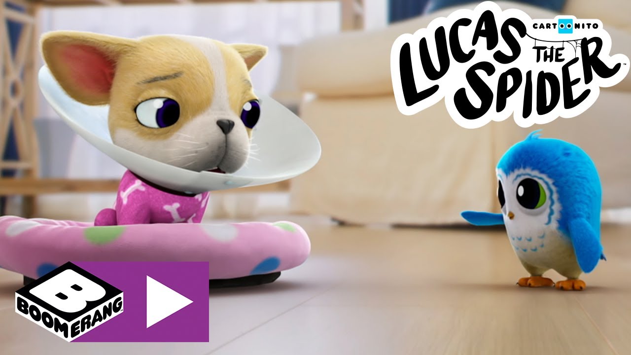 Le risate | Lucas The Spider | Boomerang Italia