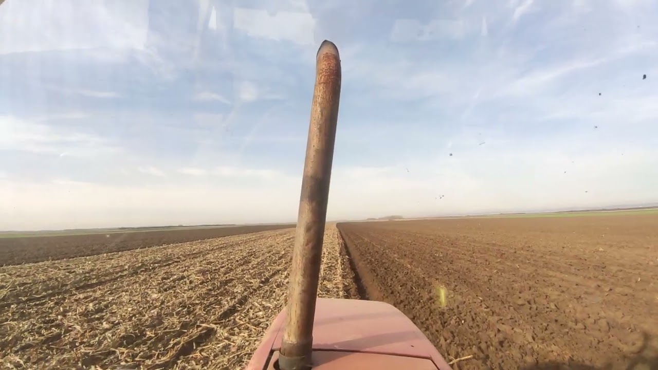 Oranje 15. Novembar sa Case IH 5150 i dowdeswell plugom!!!