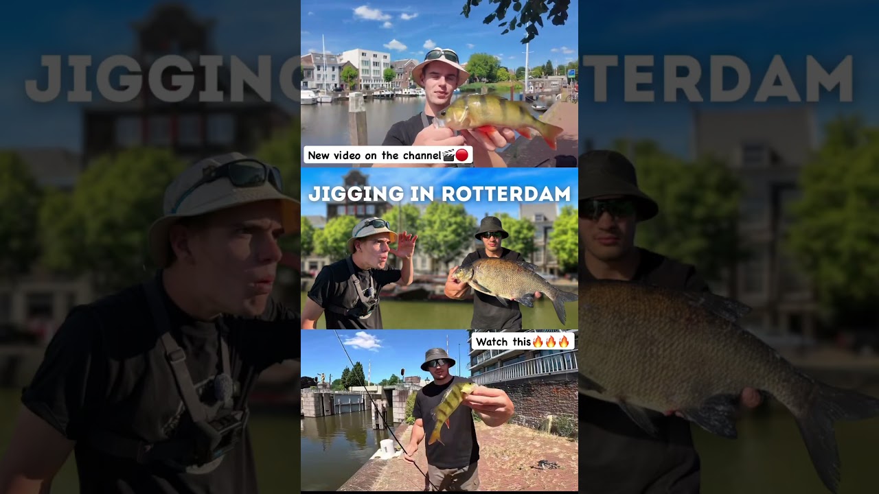 Street fishing in Rotterdam🎣🔝 #fishing #streetfishing #rotterdam