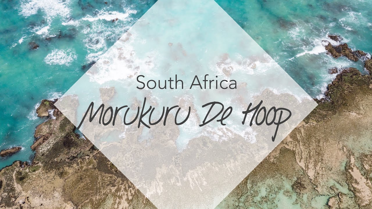 Morukuru Beach Lodge at De Hoop Nature Reserve, South Africa | VACAYMOOD