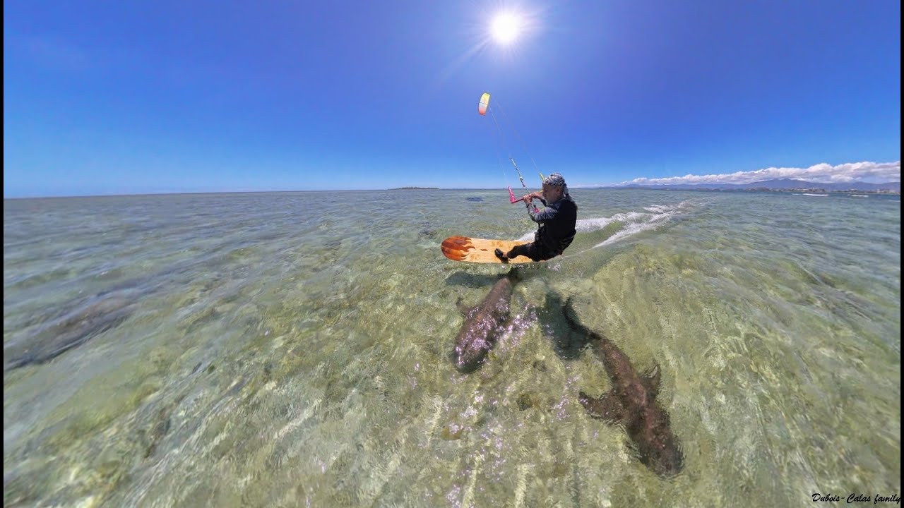 Kitesurfing with sharks and turtles, insta360X4