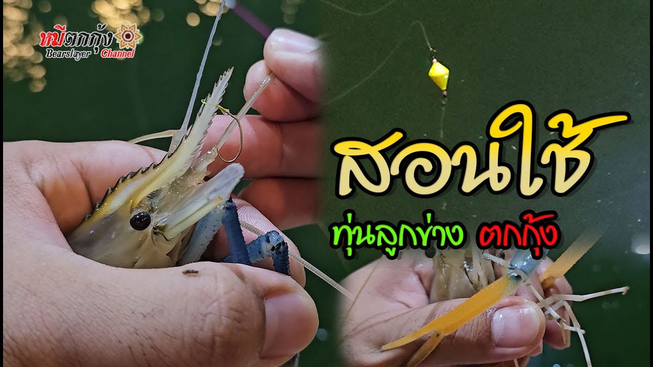 วิธีใช้ ทุ่นลูกข่าง ตกกุ้ง