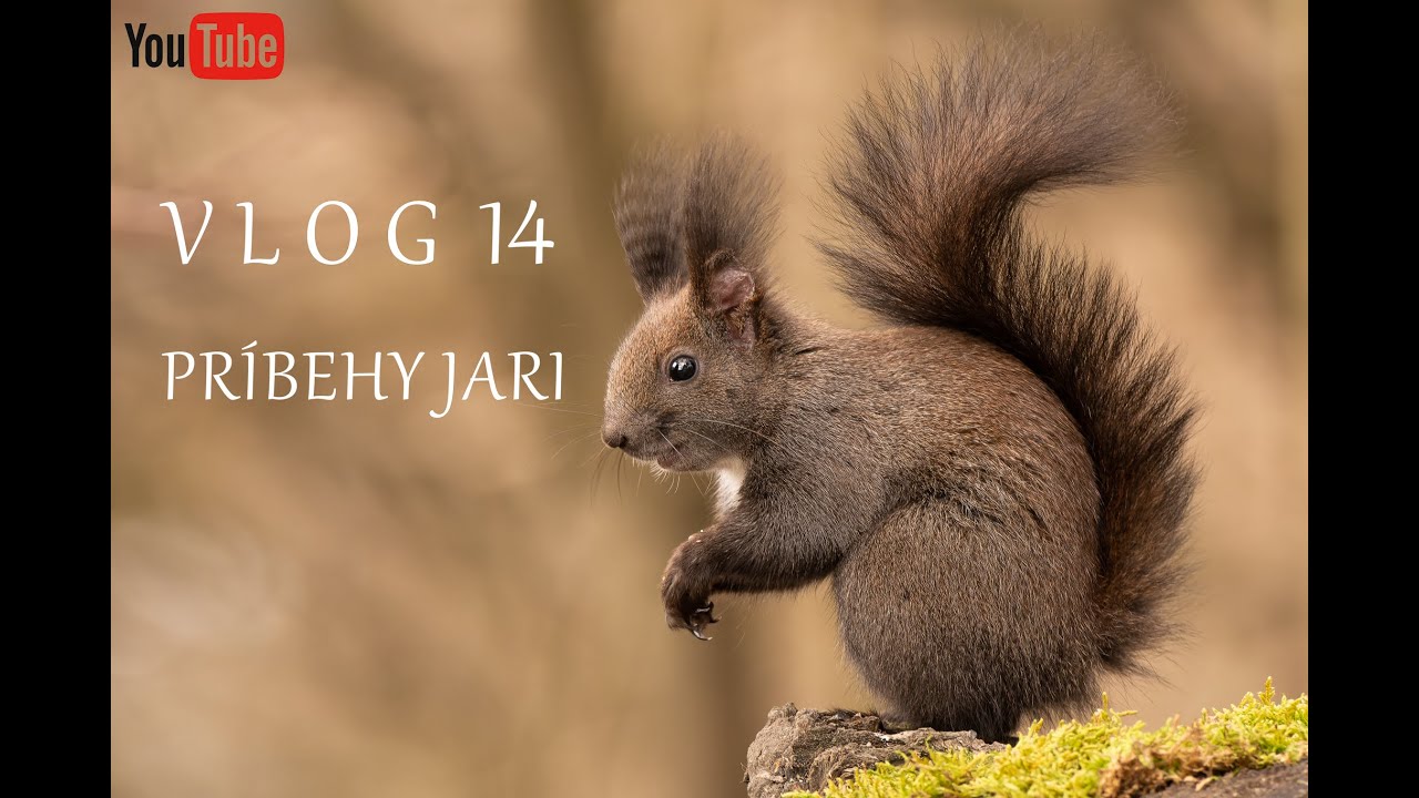VLOG #14 - PRÍBEHY JARI  / 4K + TITULKY