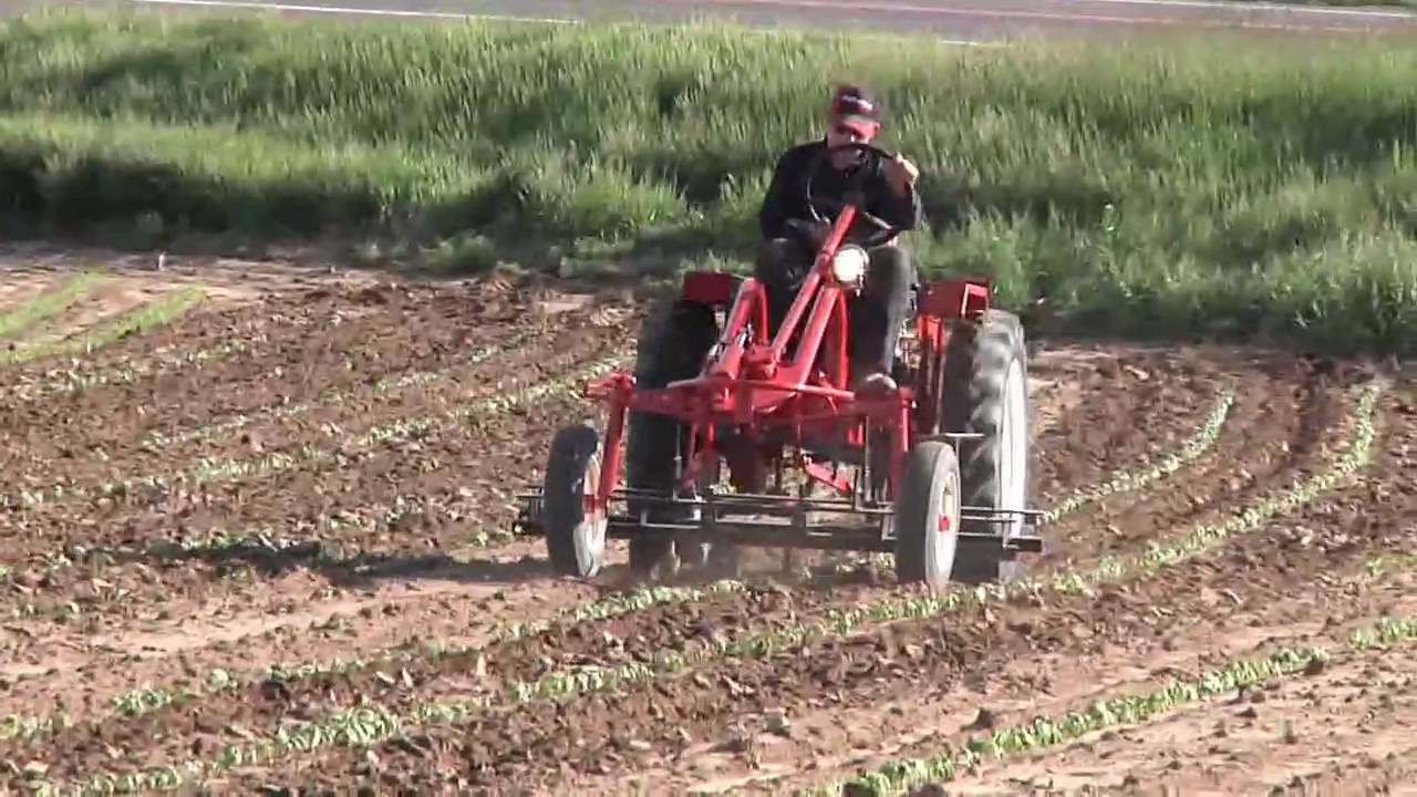 Cultivating Beans with a Tuffbilt
