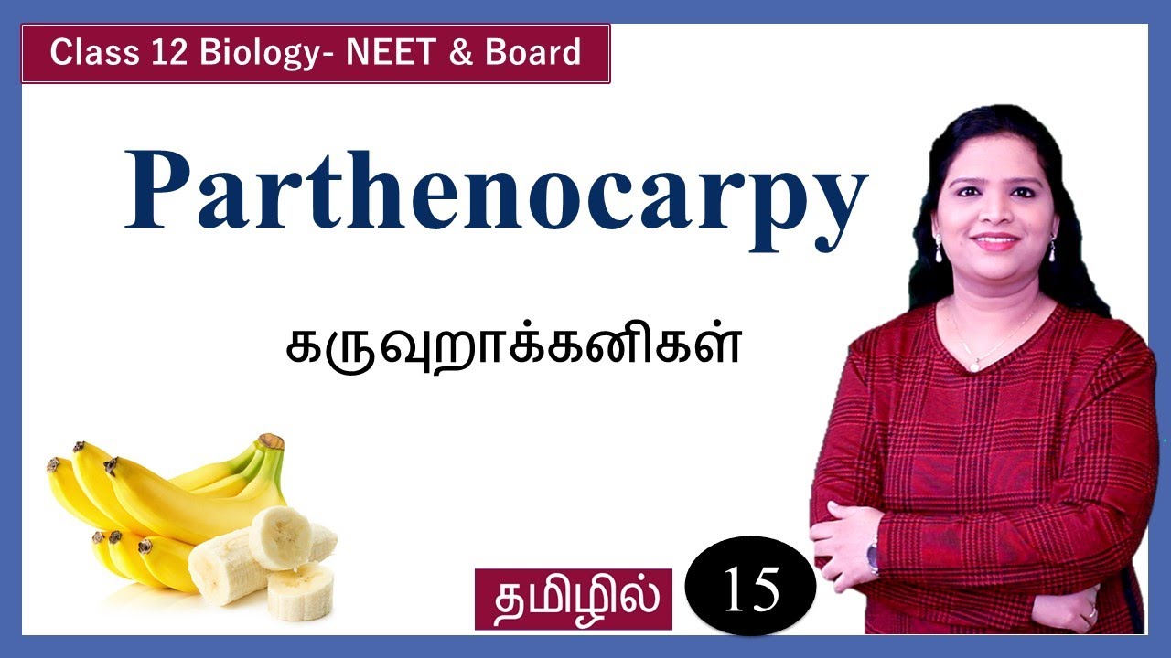 Parthenocarpy & its Types (Class 12 Biology) | Tamil