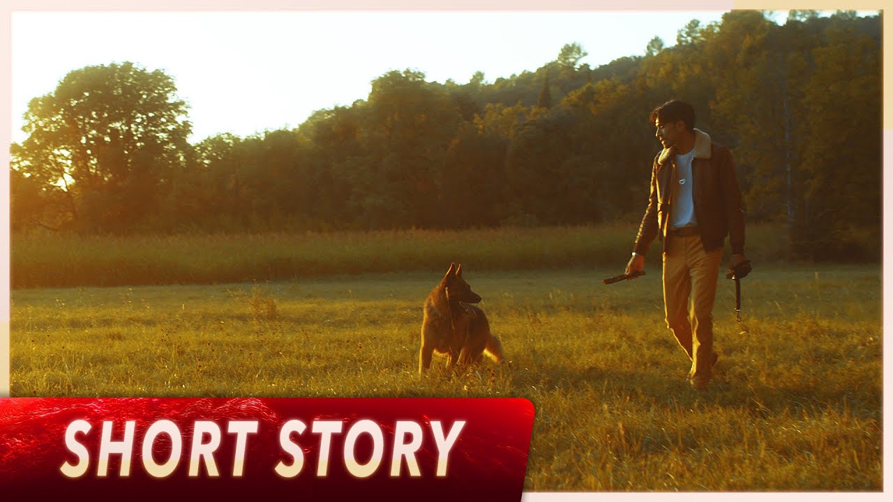 'Love Walk' (Short Film)