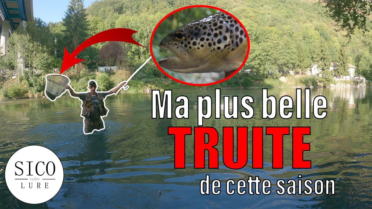 À la recherche des TRUITES des gaves...