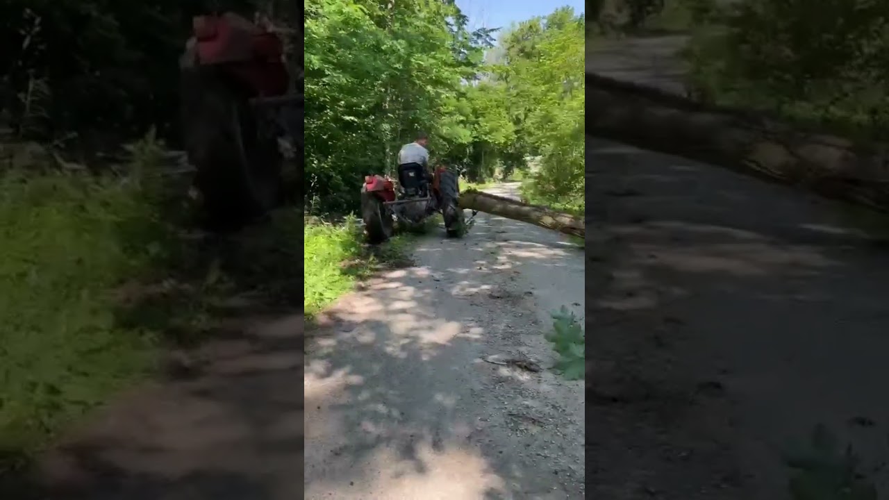 Vitlanje drva