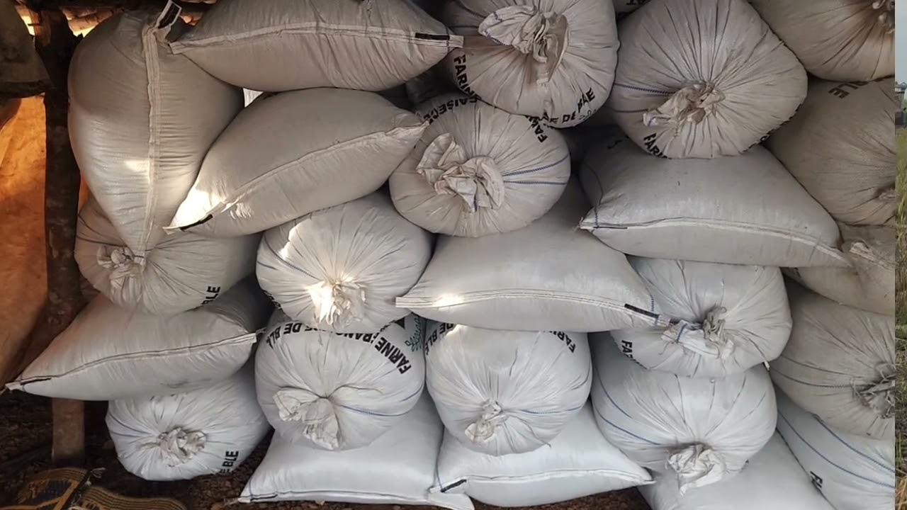 FSRP supported RSLAF to Feed Salone 