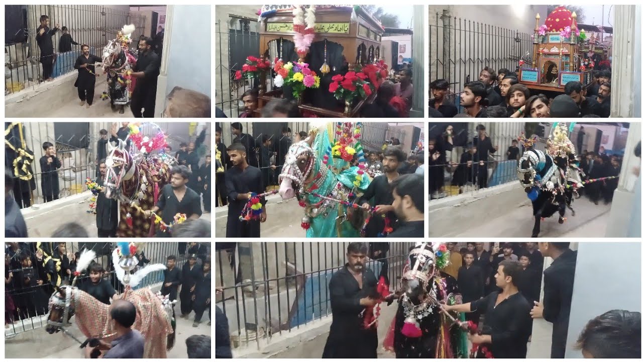 JuLos E Aza ChehLum 20 Safar 2024 Anjuman Markazi Haydri Shia imam Bargah HaLa New Sindh Pakistan...