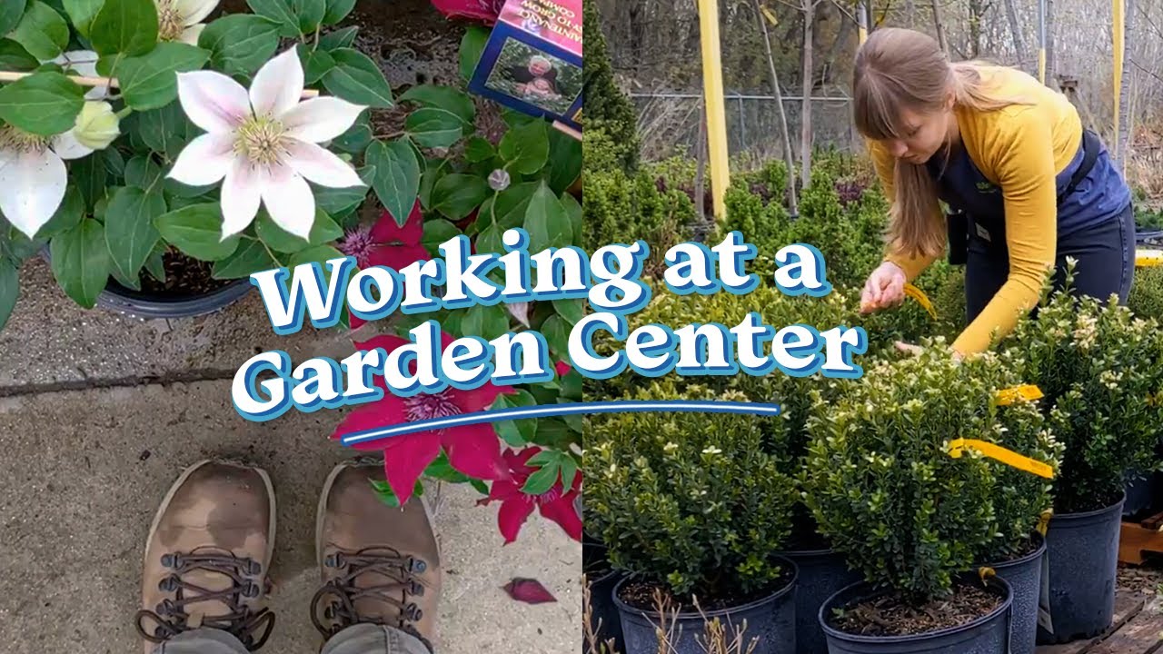What it's actually like to work at a garden center (May 2021) 🌱✨