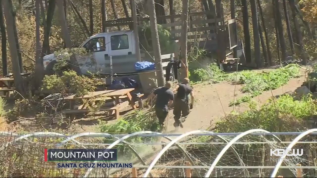 Loma Fire Exposes Pot Farms In Santa Cruz Mountains.