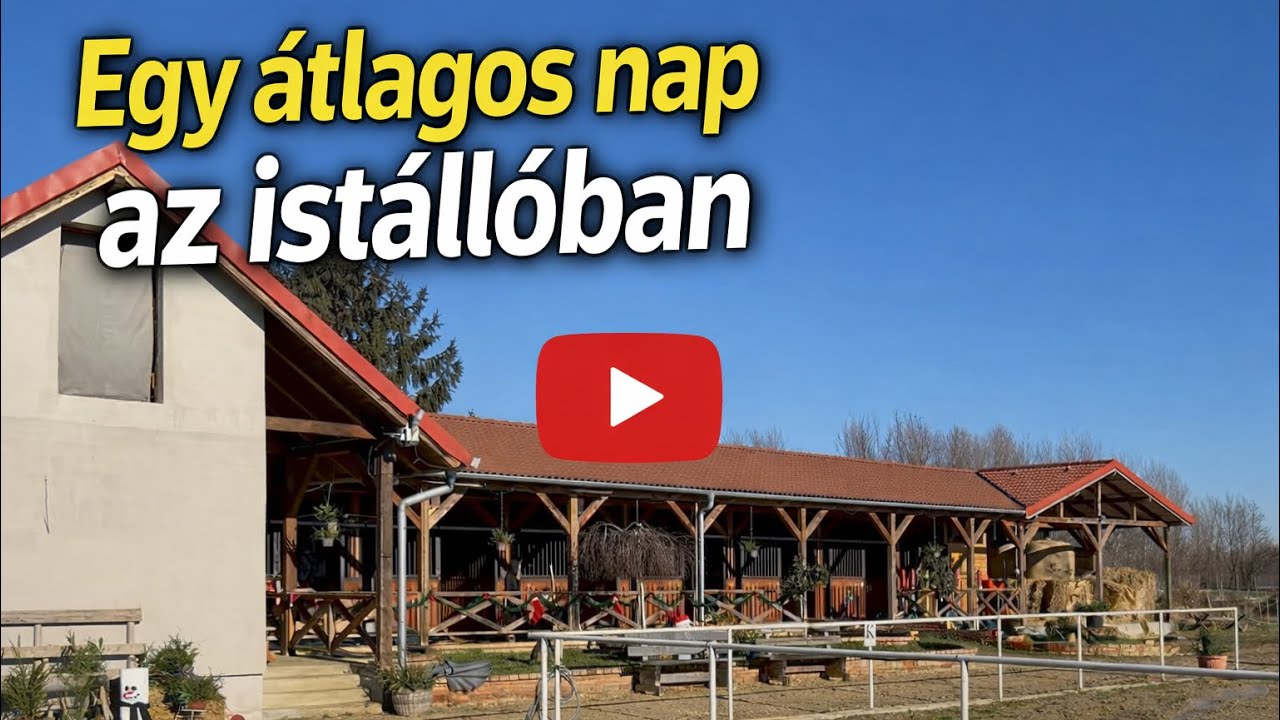 Egy átlagos nap az istállóban