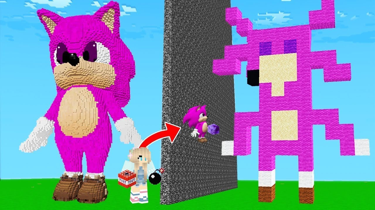YAPI KAPIŞMALARINDA KIZ BEBEK SONİC İLE ARKADAŞIMI TROLLEDİM! FİLMİ - 😱 Minecraft