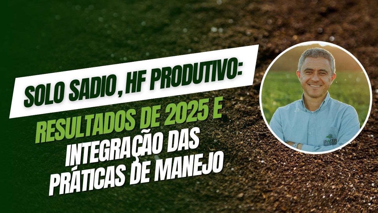 Solo sadio, HF produtivo: resultados de 2025 e integração das práticas de manejo