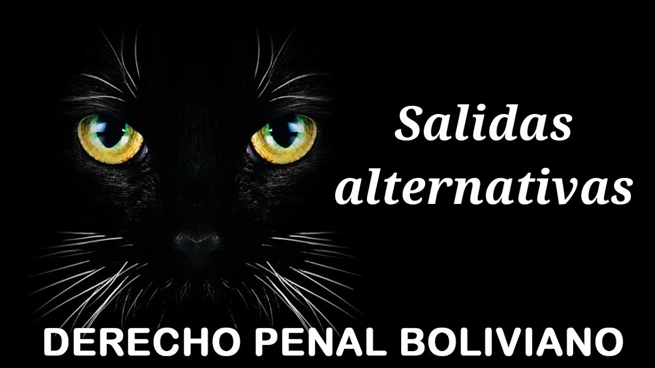 Salidas alternativas en el Derecho Penal, Asociación de Magistrados Bolivia.