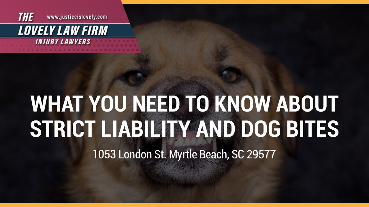 What You Need To Know About Strict Liability And Dog Bites