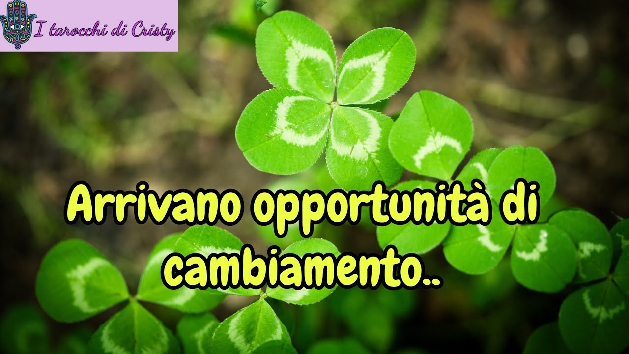 🔮DEVE FINIRE UN CICLO🔮...decisioni importanti che creeranno il tuo futuro🍀...#canalizzazione